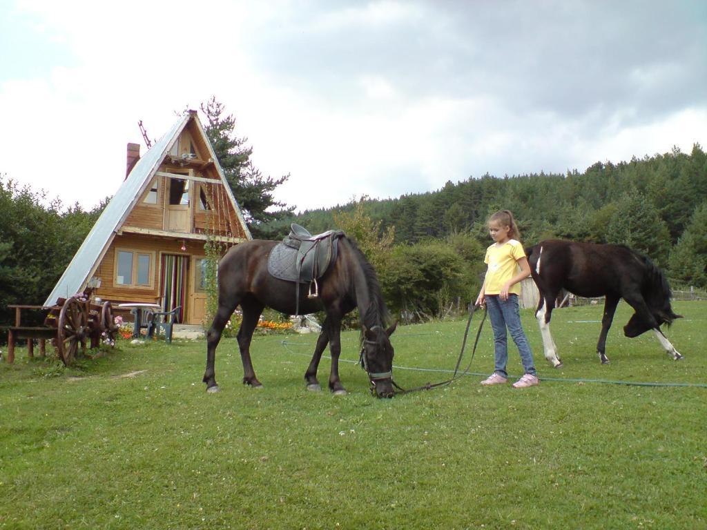 Rusaliite Adventure House Bachevo  Eksteriør bilde